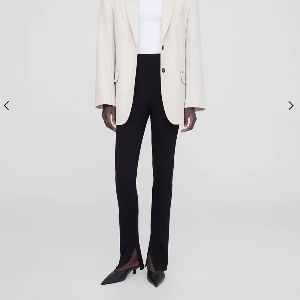 Anine Bing Max Pant